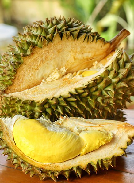 catalog/slicing/durian_party/image_party-1.jpg